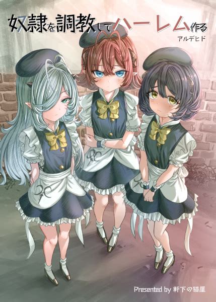 Dorei wo Choukyou shite Harem Tsukuru .